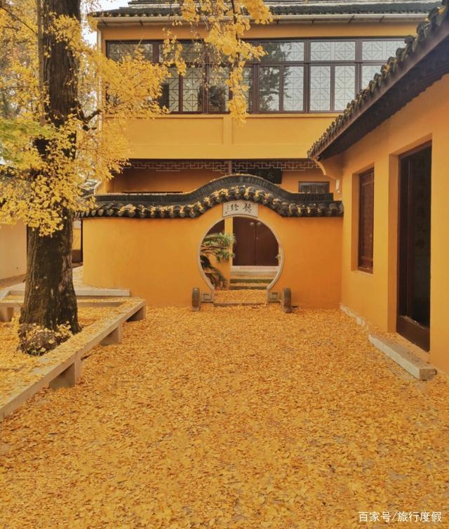 微信图片_20200811144804.jpg