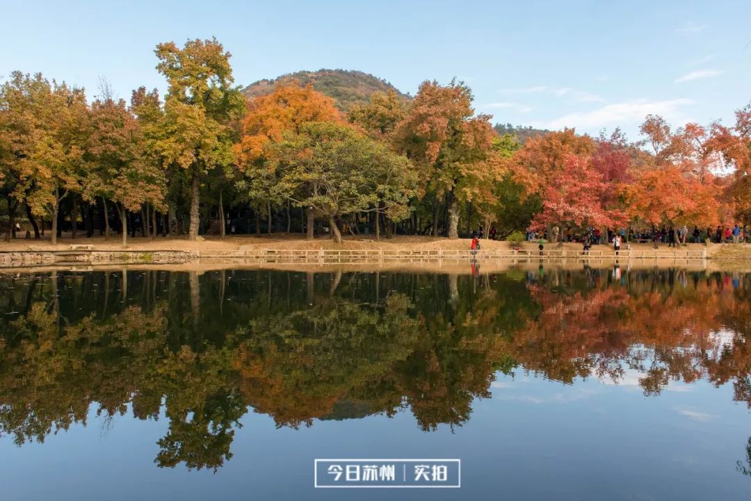 _YYF0424.jpg