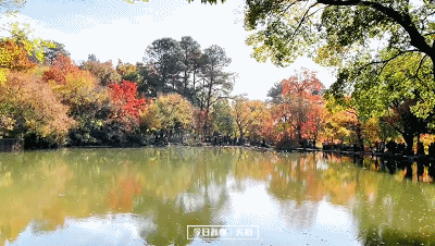 ca6db43e263f7639845614e99d938ba3_20191122100554.gif