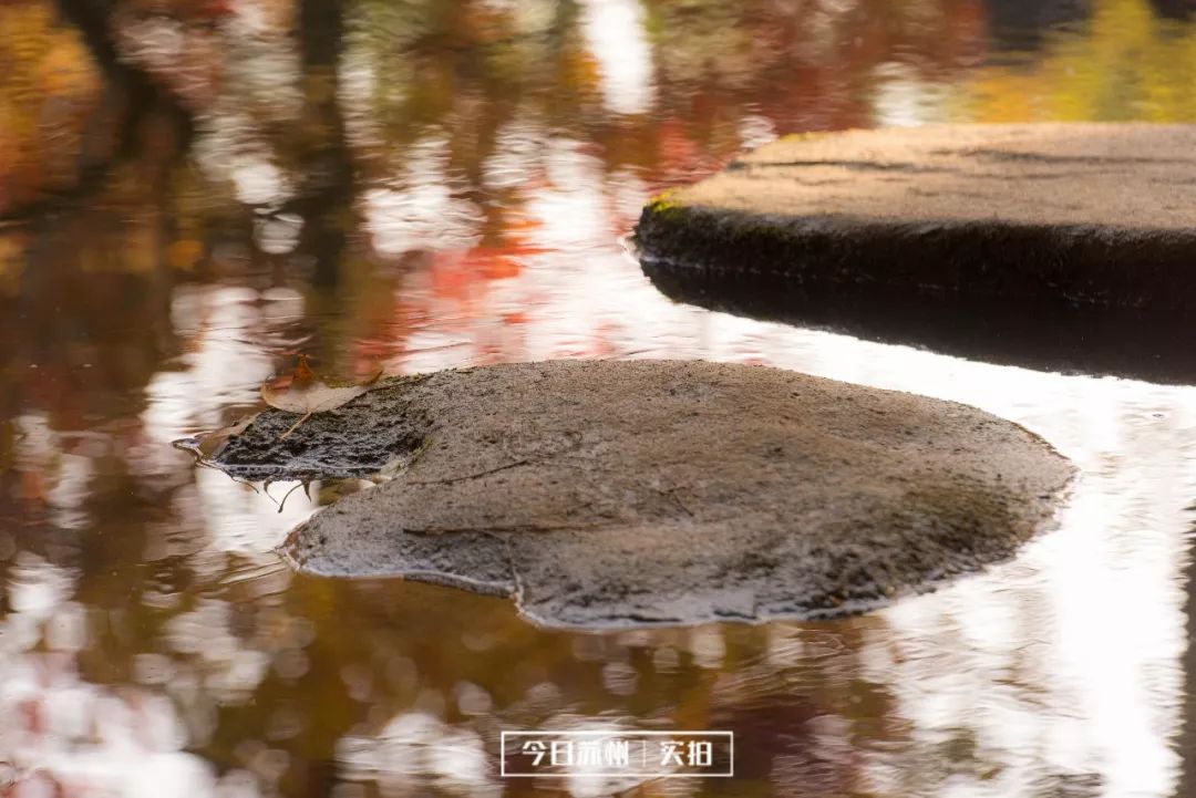 _YYF0179.jpg