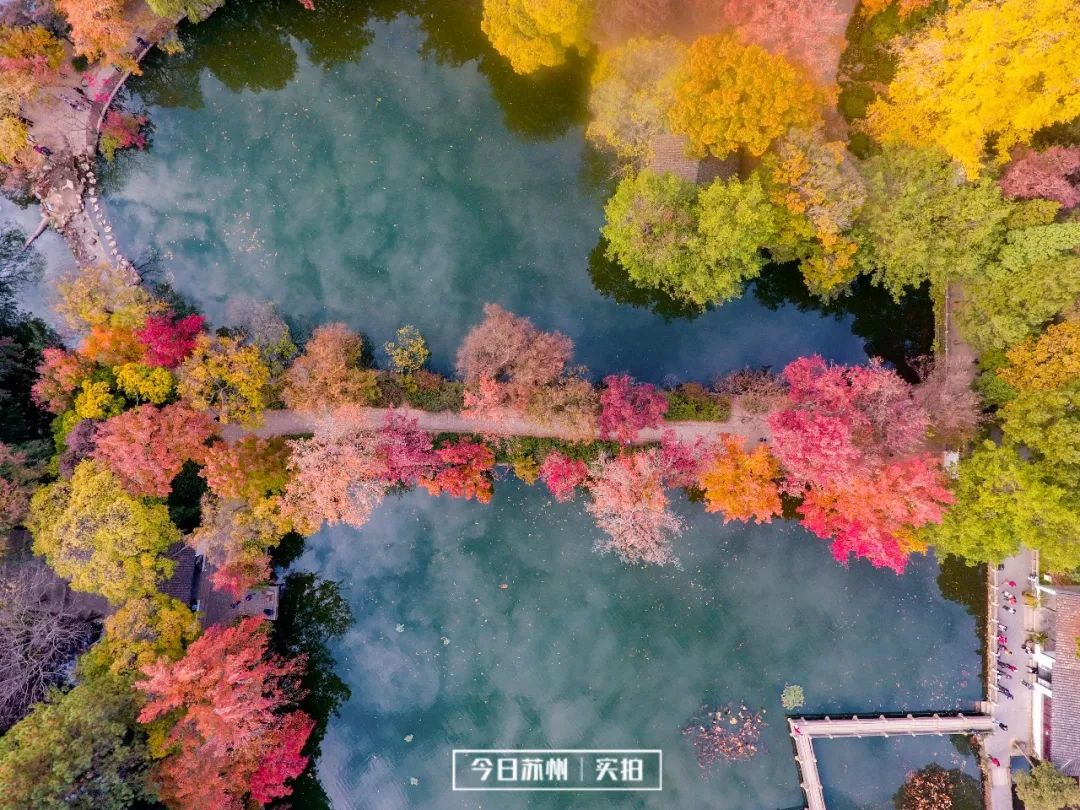 微信圖片_201911211450383.jpg