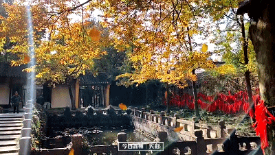 c50a5410abfcd9c1b7e710b331f2bc7a_20191122100452.gif