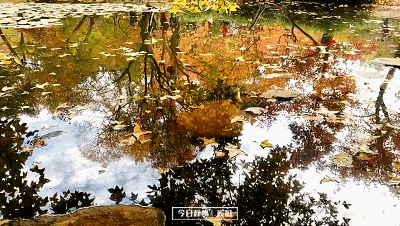 70f6802cb3863c1705f39b27b9eceb59_20191122101311.gif