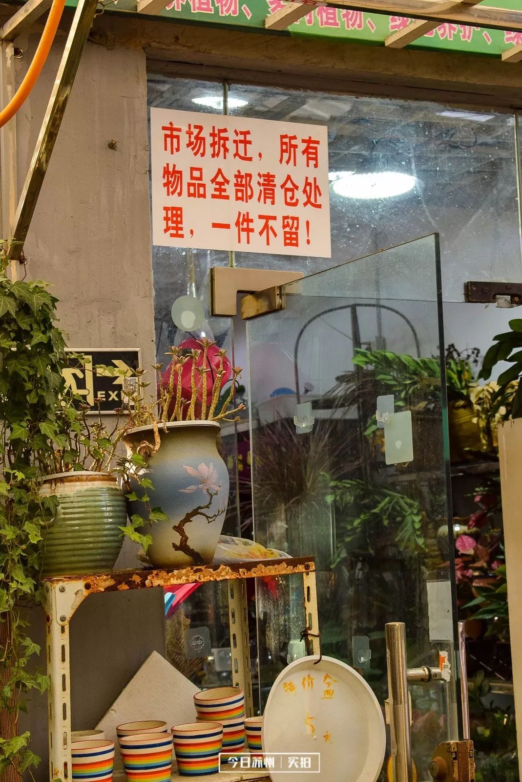 水印-0226.jpg