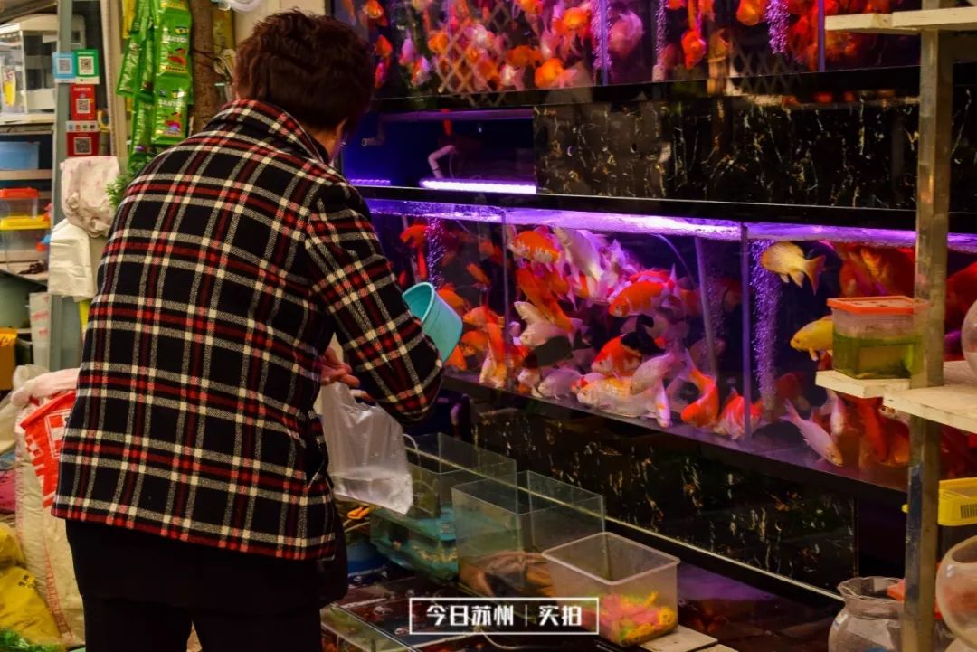 水印-0227.jpg