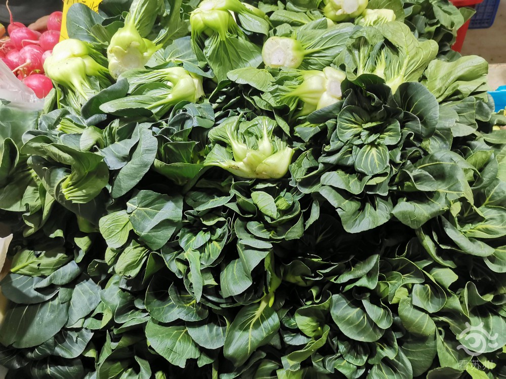 苏州蔬菜大降价后续仍有下跌趋势